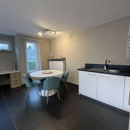 Daire Zeegidss Oostende